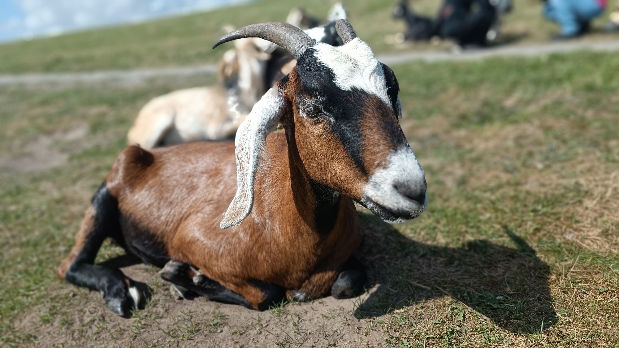 Norðurlöndin: 34. stopp: Falsterbo