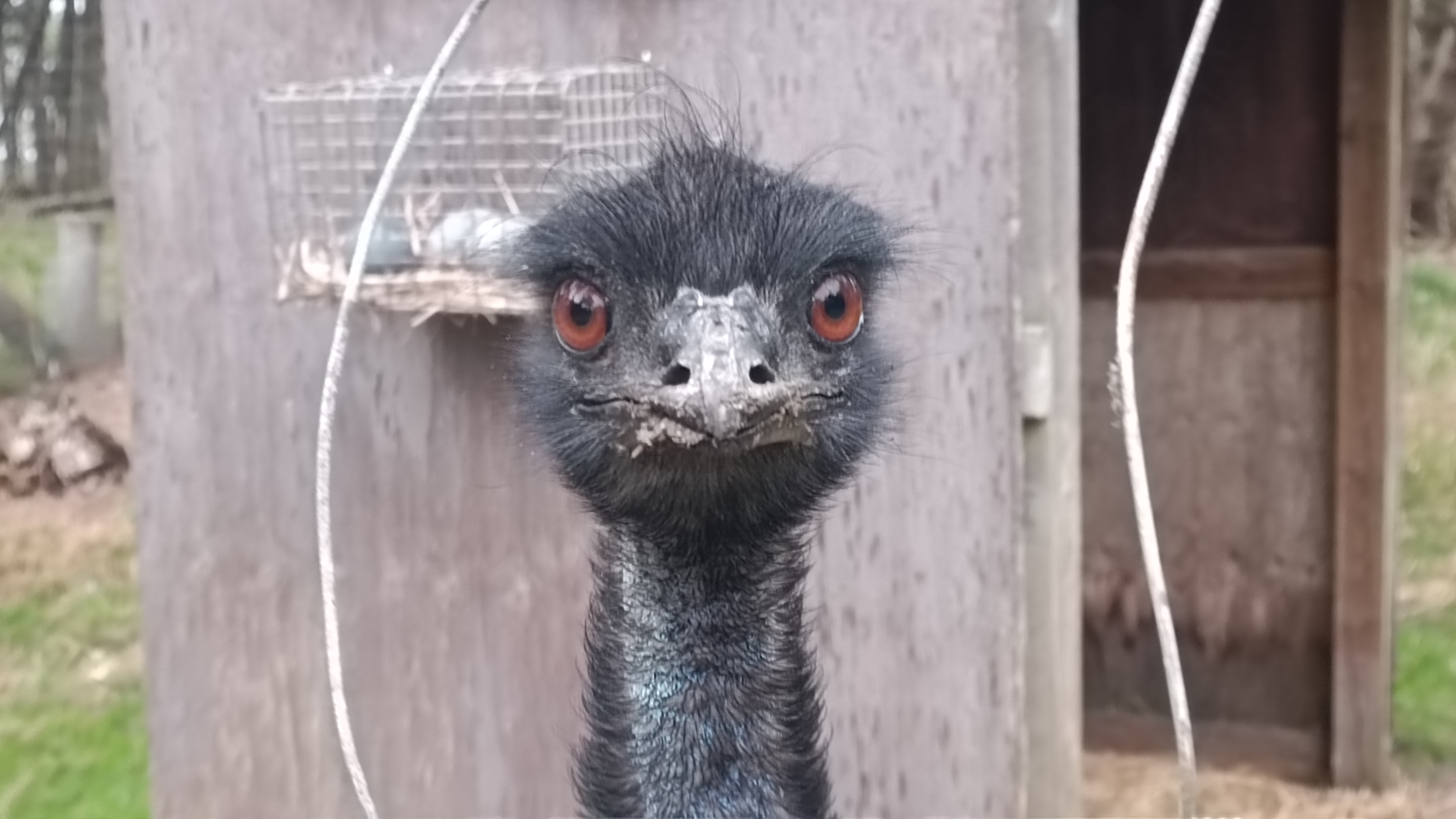 Norðurlöndin: 39. stopp: Hirtshals, eða hvað?